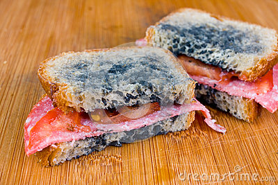 moldy-sandwich-salami-tomatoes-chopping-board-31182180.jpg
