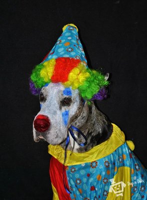 image.jpg