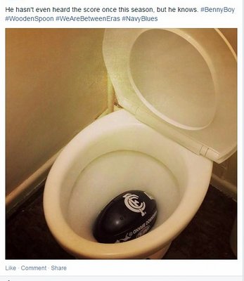 Footy in Toilet.jpg
