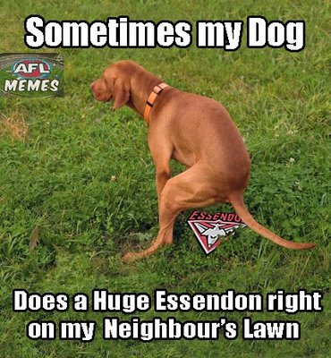 Essendog.jpg