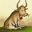 ferdinand.jpeg
