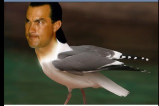ImageUploadedByTapatalk1334488385.837887.jpg